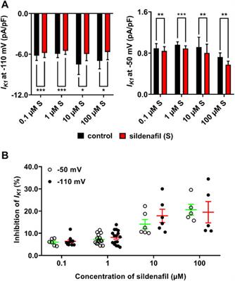 Combination of Sildenafil and Ba2+ at a Low Concentration Show a Significant Synergistic Inhibition of Inward Rectifier Potassium Current Resulting in Action Potential Prolongation